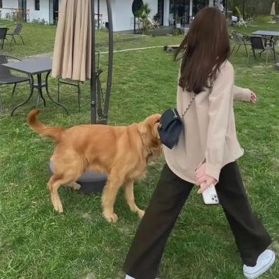 我破碎的麻里子